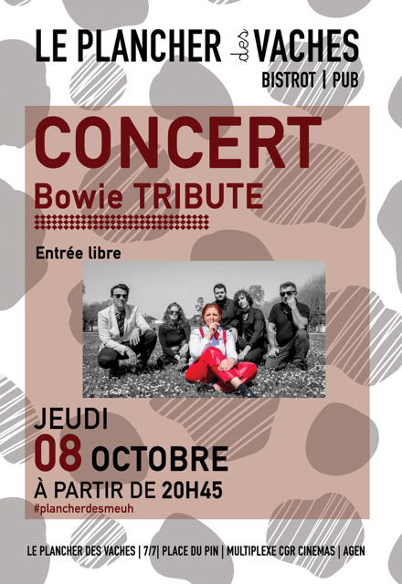 Bowie Tribute Plancher des Vaches Agen