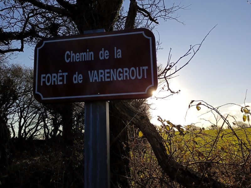 café-patrimoine le bois de Varengrou par Véronique Gaignard OMONVILLE-LA-ROGUE La Hague