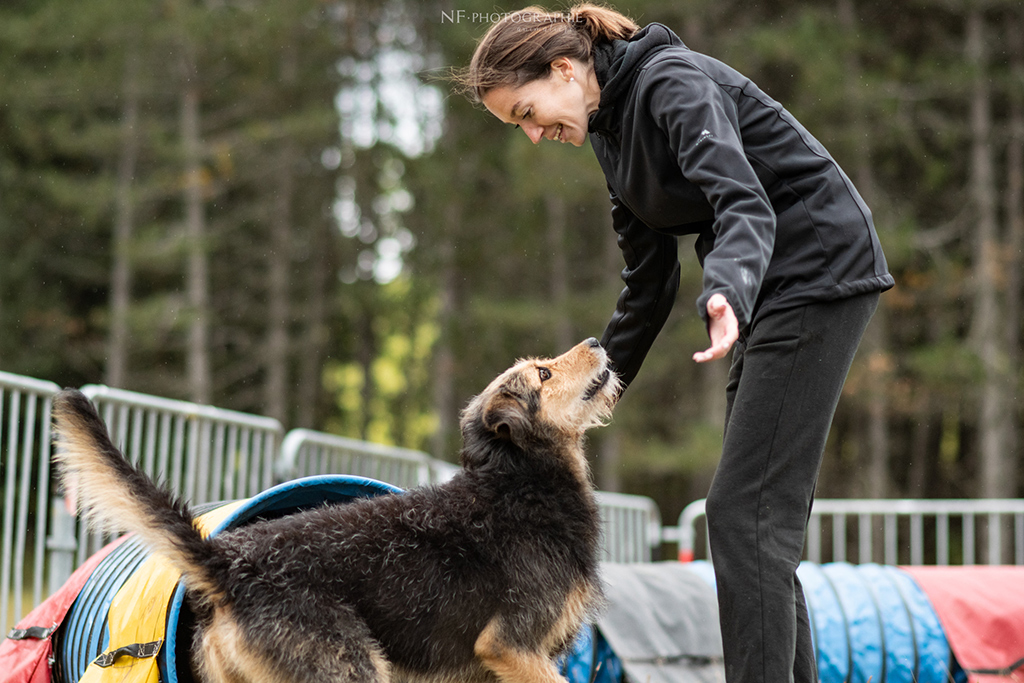 CANIFUN, LE WEEK-END DU CHIEN 5ÈME ÉDITION Causse de Mende Mende