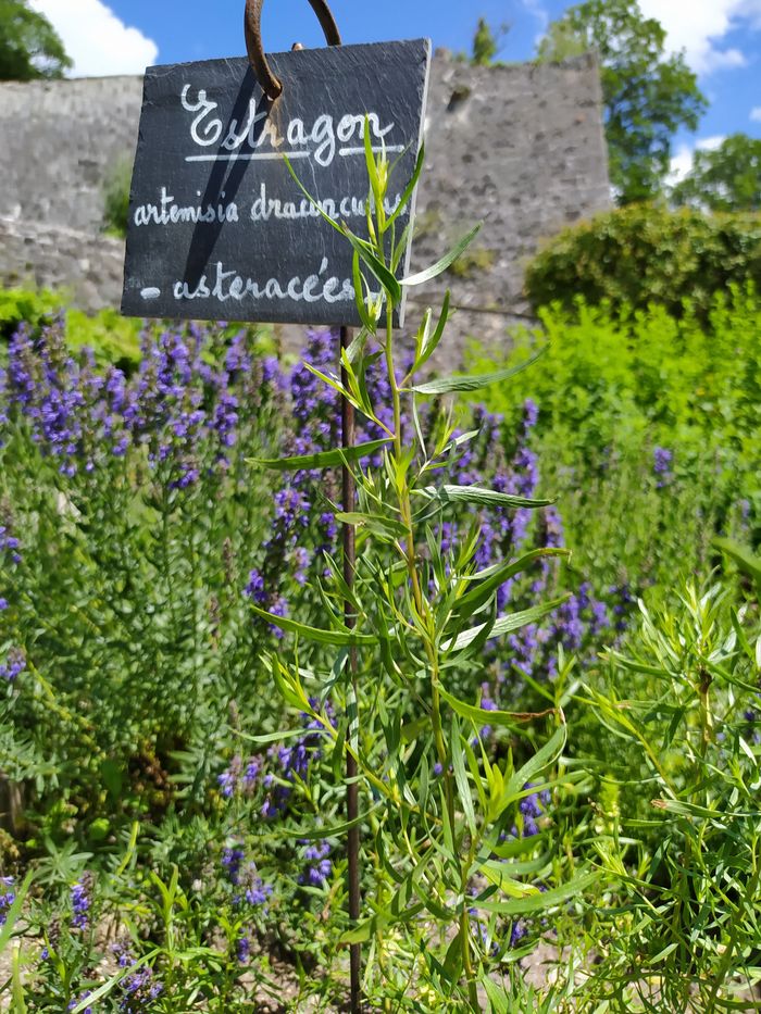 Cartographie sensible de notre alimentation, Abbaye d&rsquo;Aulps – Domaine de Découverte de la Vallée d&rsquo;Aulps, Saint-Jean-d&rsquo;Aulps