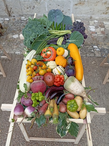 Célébration de la Saint Fiacre Chançay