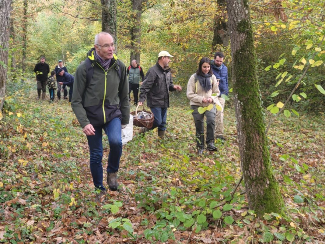 Champignons en Sologne  Lamotte-Beuvron