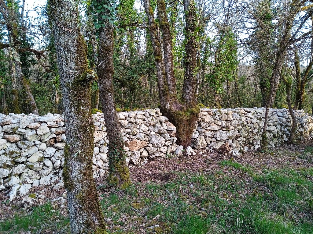Chantier muret en pierres sèches  Saint-Cirq-Lapopie
