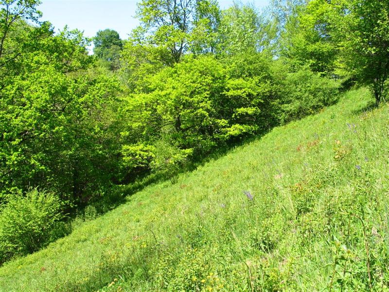 Chantier nature participatif à Ligsdorf  Ligsdorf
