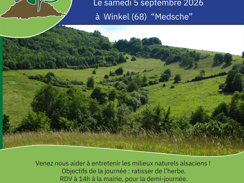 Chantier nature participatif Winkel