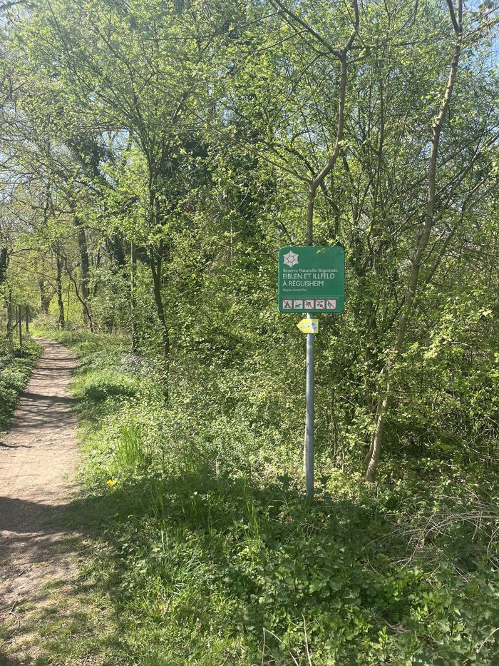 Chantier participatif en faveur du patrimoine naturel, Site naturel régional de l’Eiblen – Illfeld, Réguisheim
