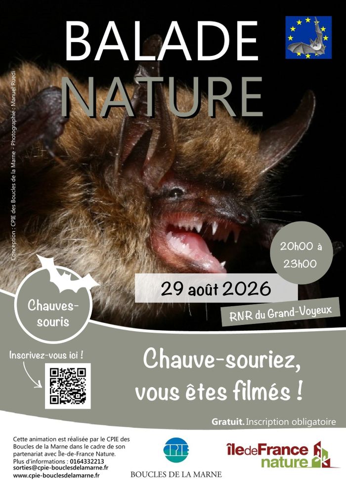 Chauve-souriez