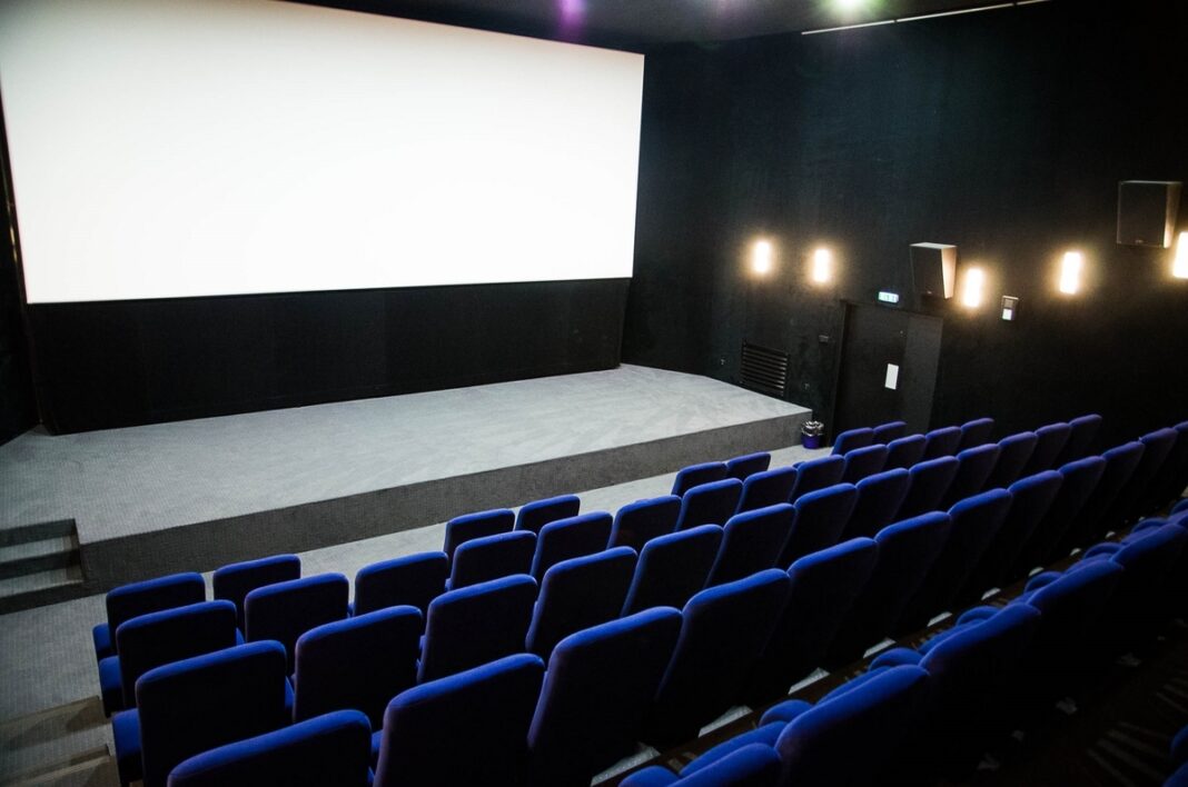 Ciné-atelier Kayara; princesse inca Cinéma le Pixel Orthez