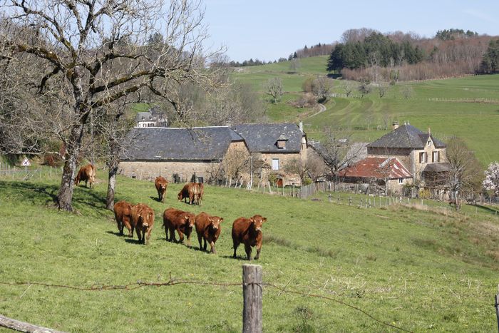 Circuit : à la découverte du patrimoine agricole de Saint-Hilaire-Taurieux Village de Saint-Hilaire-Taurieux Saint-Hilaire-Taurieux