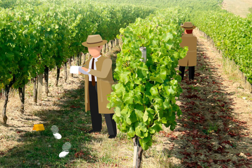Cluedo géant dans les vignes | Château du Haut Pezaud Château du Haut Pezaud Monbazillac