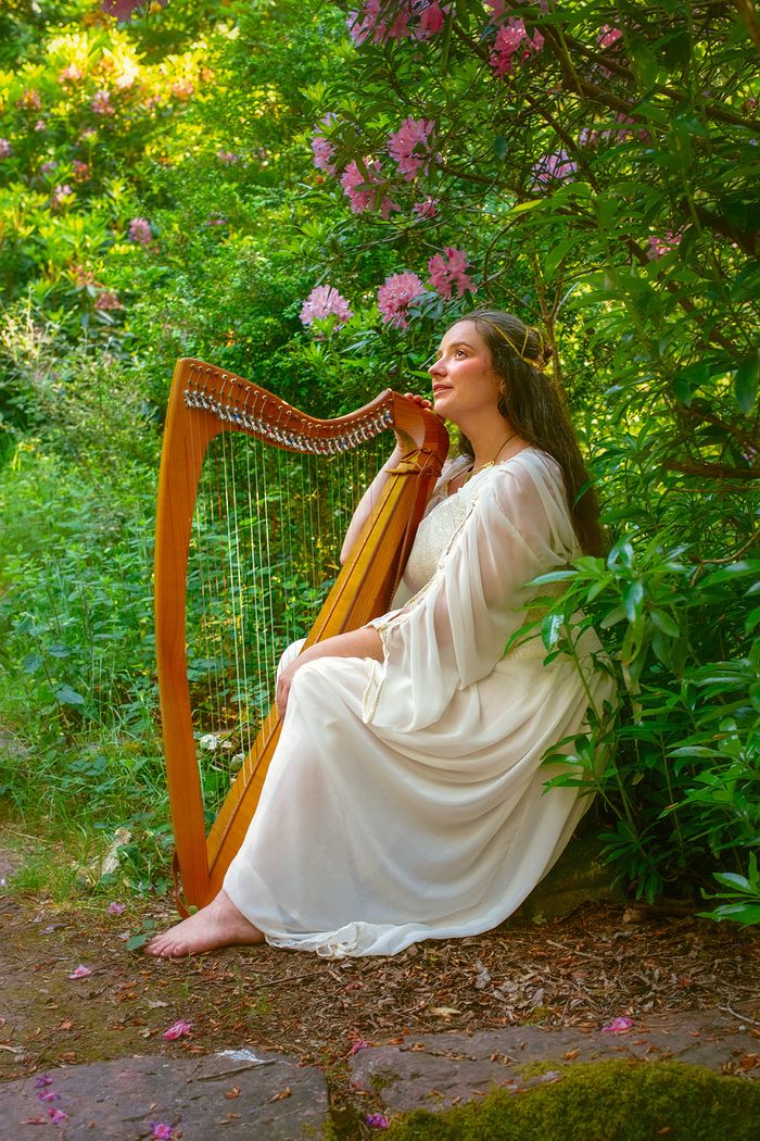 Concert de harpe celtique, Château de la Touche la Limouzinière, La Limouzinière