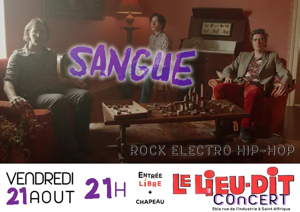 Concert de Rock Electro Hip-Hop Saint-Affrique