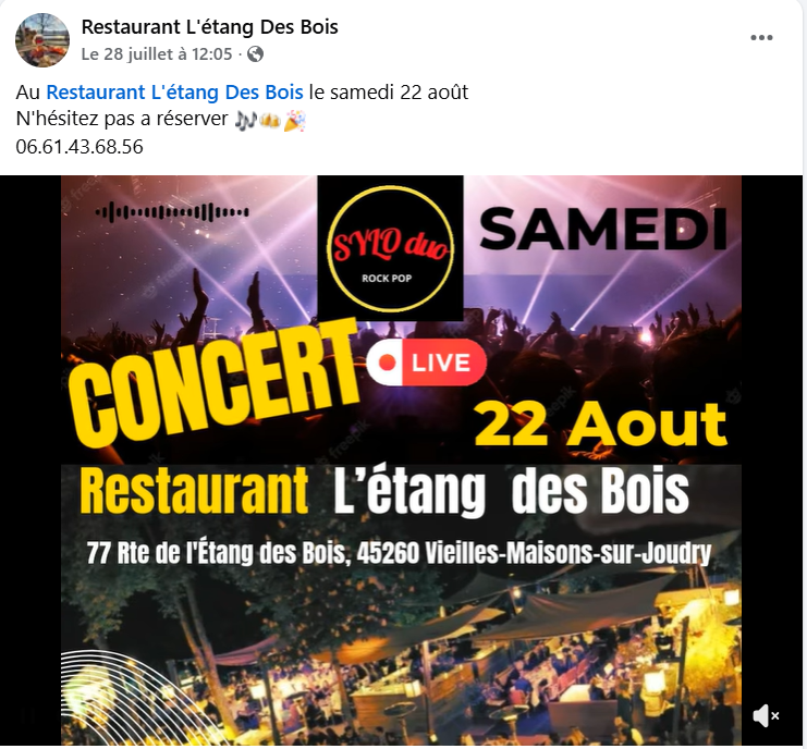 Concert Sylo Duo (rock pop) Vieilles-Maisons-sur-Joudry