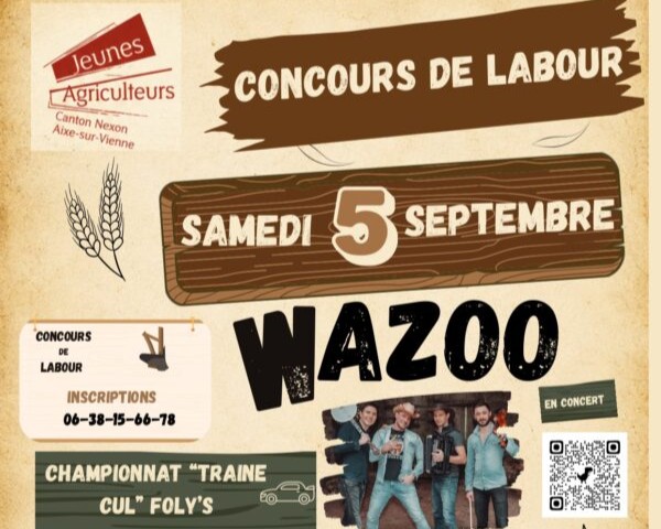 Concours cantonal de labour  Le Vigen