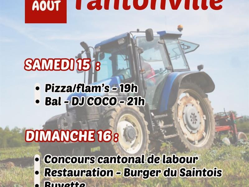 Concours de labour cantonale Tantonville