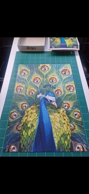 Concours de puzzle participatif, Médiathèque municipale, Le Tréport