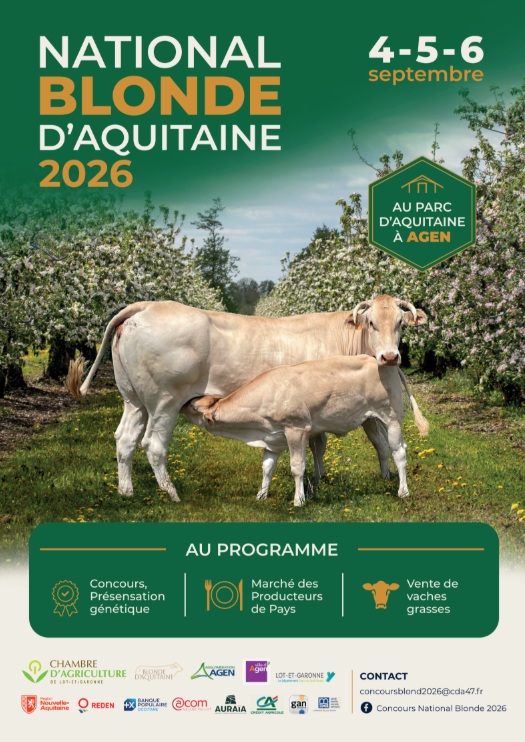 Concours national blonde d’aquitaine Marché aux bestiaux d’Agen Boé