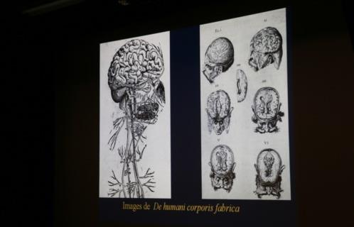 CONFERENCE 1884-2026 UN SIECLE ET DEMI D’HISTOIRE DE LA NEUROCHIRURGIE Hautefort