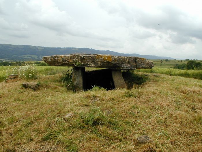 Conférence : Aux sources de l’Aveyron et de la Serre. 5000 ans du peuplement, Espace archéologique, Montrozier
