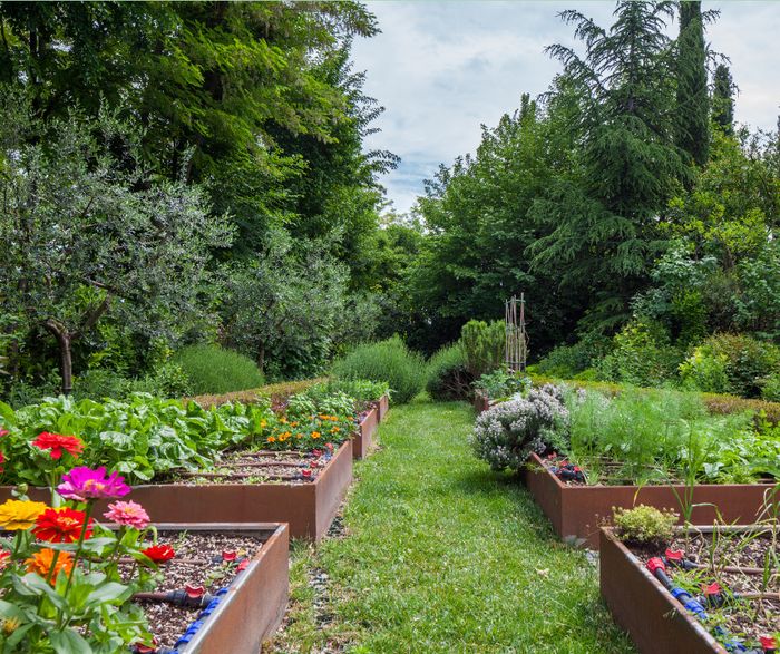 Conférence – Concevoir son jardin nourricier, Maison des Droits de l’Homme – Nelson Mandela, Villeneuve-d’Ascq