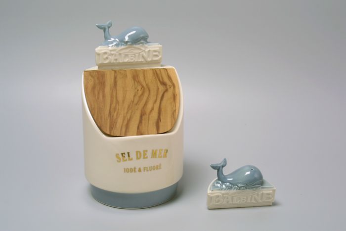 Conférence : « LES CERAMIQUES DROMOISES ET LEURS ARTISANS DU 17e SIECLE A NOS JOURS », Maison de la Céramique, Saint-Uze