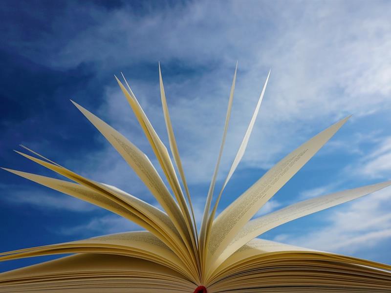Conférence sur la bibliothérapie  Wasselonne