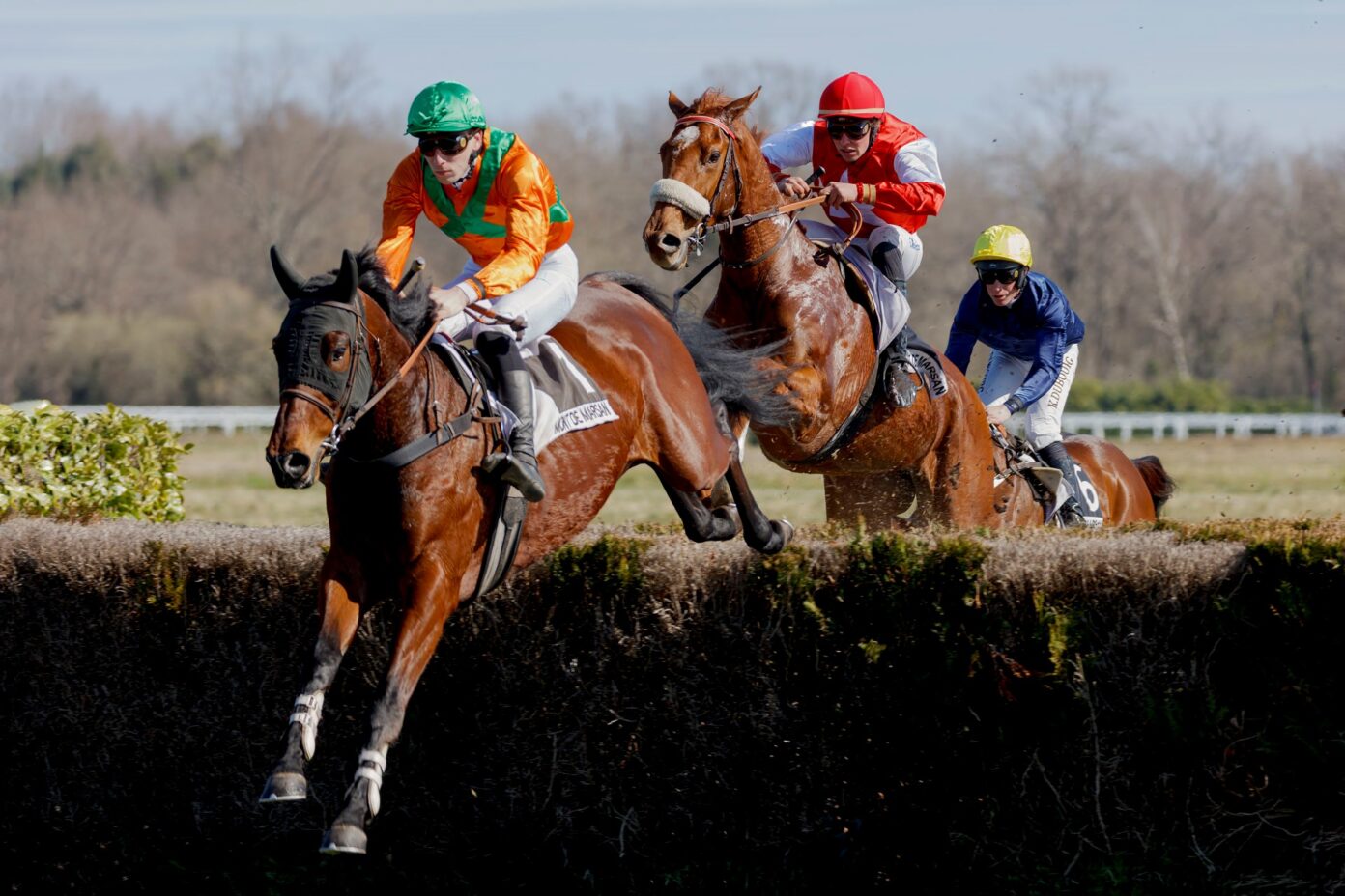 Courses hippiques Hippodrome des Grands Pins Mont-de-Marsan