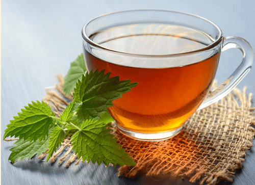 De la plante à l’infusion j’apprends à faire es tisanes Le Séchoir Saint-Jory-de-Chalais