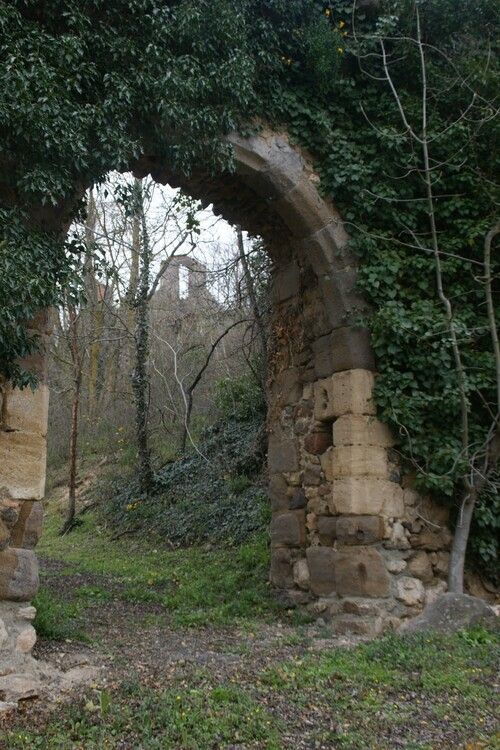 Découverte de la biodiversité autour de la Chapelle et du Château de Laroche, Four banal, Bournoncle-Saint-Pierre
