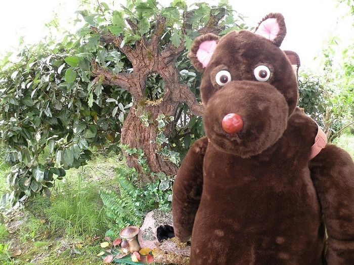 Découverte de la nature avec Petit ours, Médiathèque André Malraux, Tourcoing