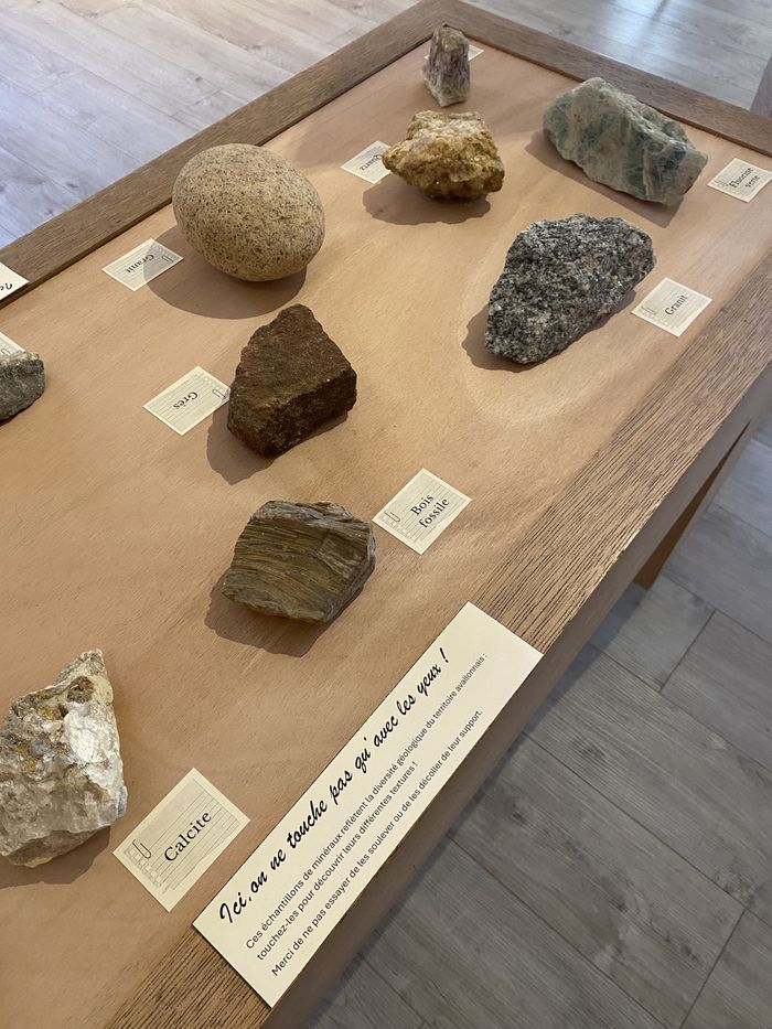 Découverte des minéraux et fossiles locaux, Musée de l’Avallonnais Jean Després, Avallon