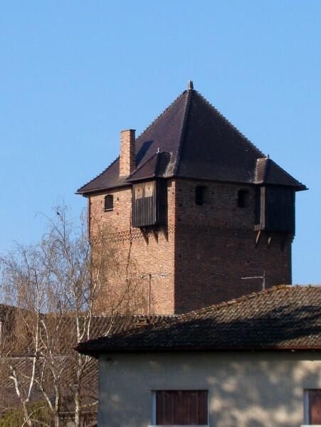 Découverte du château médiéval, Château médiéval, Ambérieux-en-Dombes