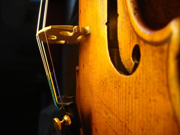 Découverte du métier de luthier – archetier, Maison de pays du Trièves, Clelles