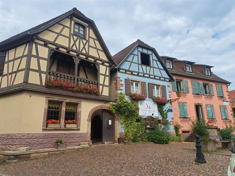Découverte du métier de vigneron Ottrott