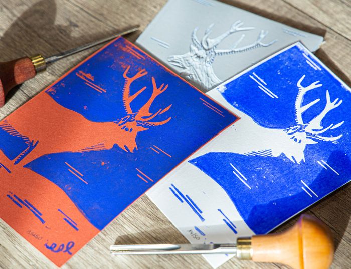 Découvrez l’art de la linogravure, Ateliers Octopodes, Chambéry