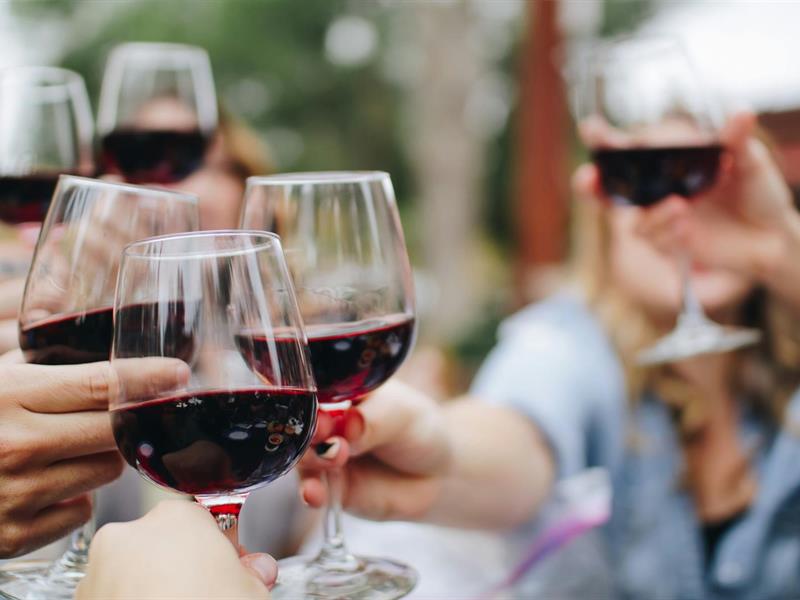 Dégustation et vente de vins à Drachenbronn-Birlenbach  Drachenbronn-Birlenbach
