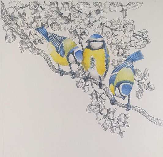 DéLivre-moi tes secrets avec Christine Flament, illustratrice et autrice, Bibliothèque des Eaux-Vives, Genève