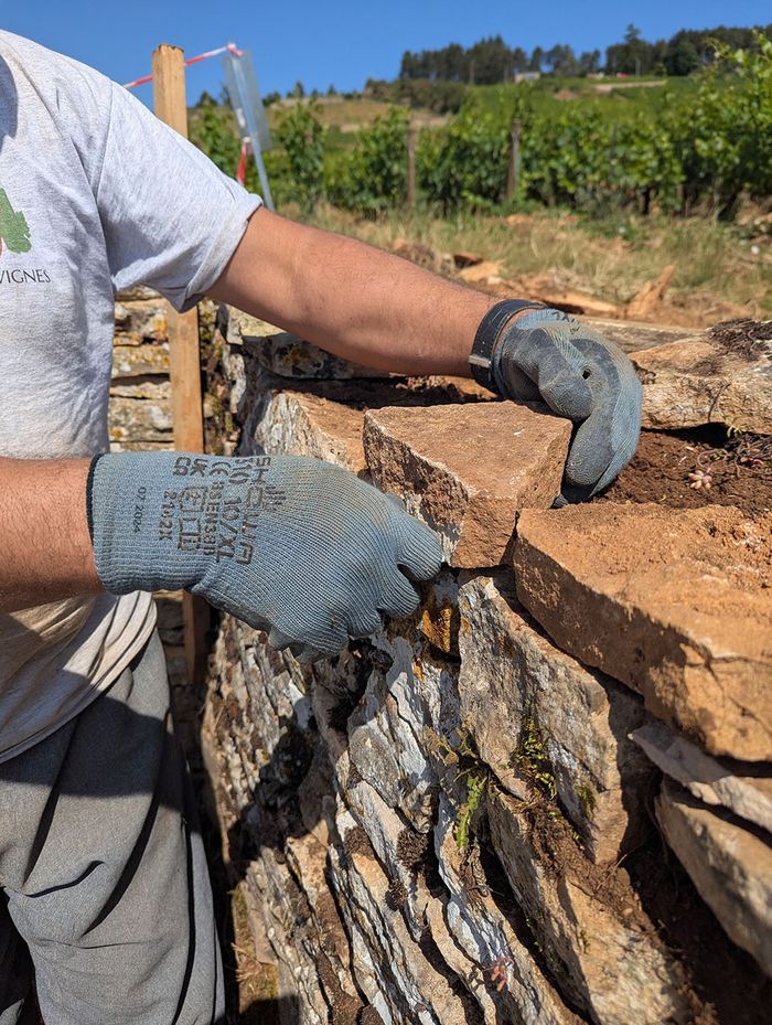 Démonstration et découverte du métier de murailler, atelier Murs et Vignes, Ladoix-Serrigny