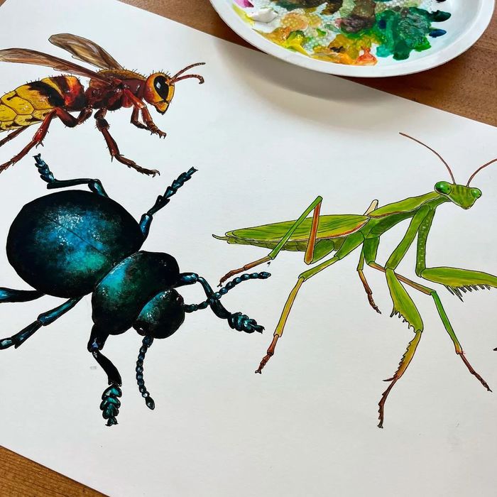 Des insectes entre les pages, Bibliothèque de Saint-Jean, Genève