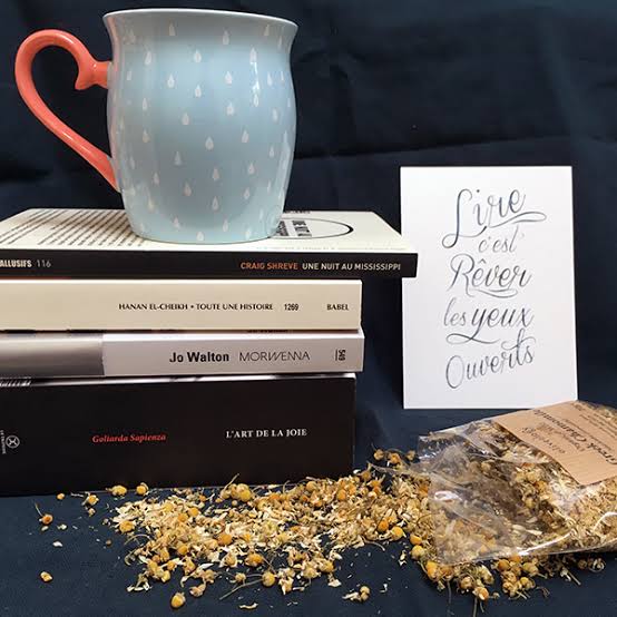 Des livres et tout  Aire-sur-l&rsquo;Adour