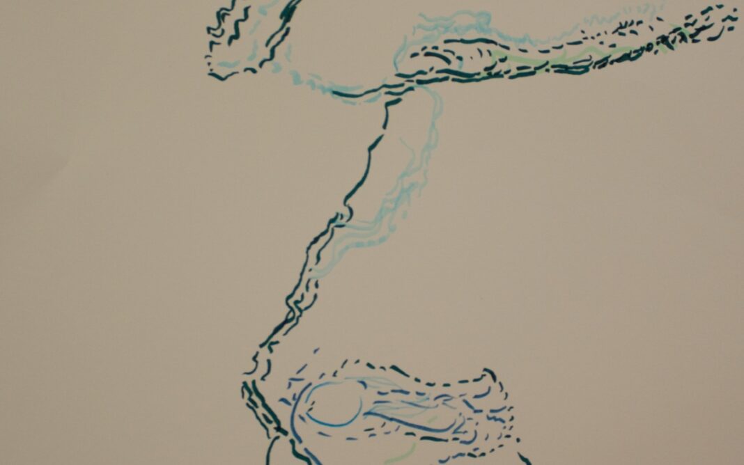 Dessin vital : exposition Bibliothèque Louise Walser-Gaillard Paris