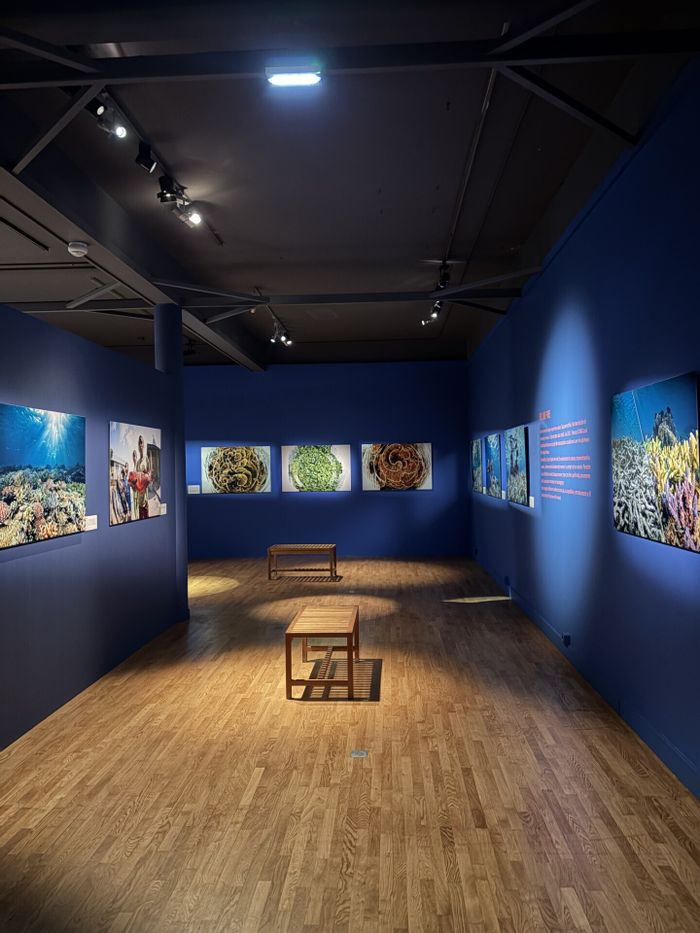 Destination Corail, Muséum Henri-Lecoq, Clermont-Ferrand