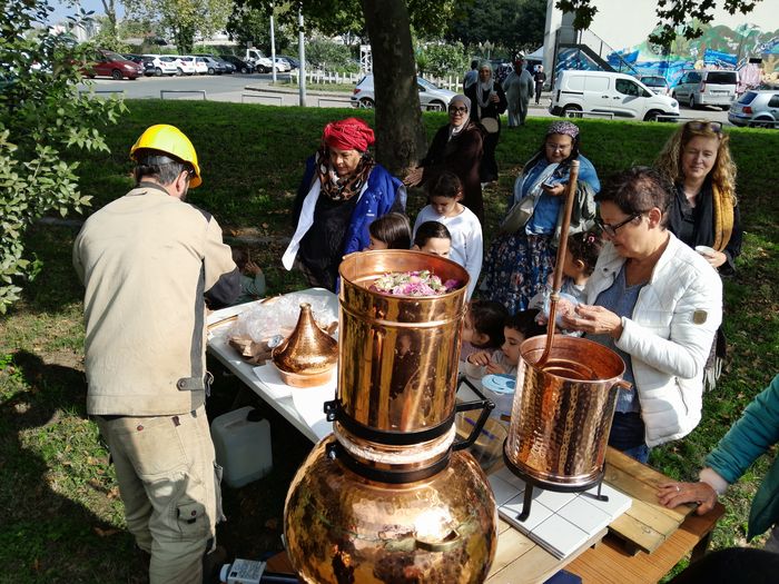Distillation des rosiers de Damas, Promenade Maurice Thorez, Givors