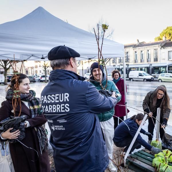 Distribution de 200 arbres fruitiers sur le marché de Noël, Marché de Noël – Place du Cœur de Ville – Derrière le Centre Communal d’Action Sociale, Martignas-sur-Jalle