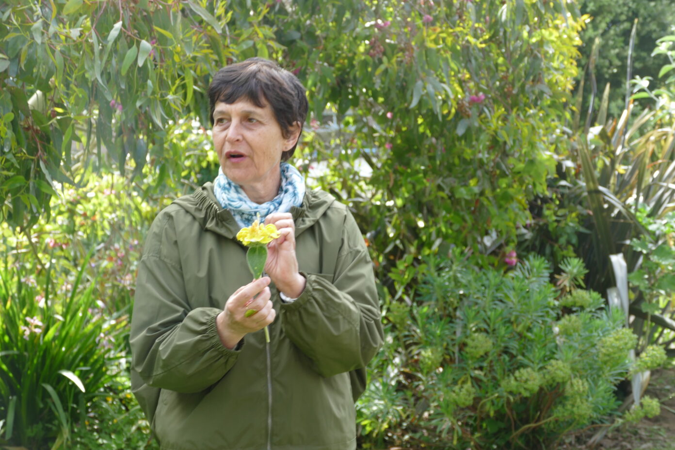 Empreintes-Encapsuler un jardin-Eveil Saint-Vaast-la-Hougue