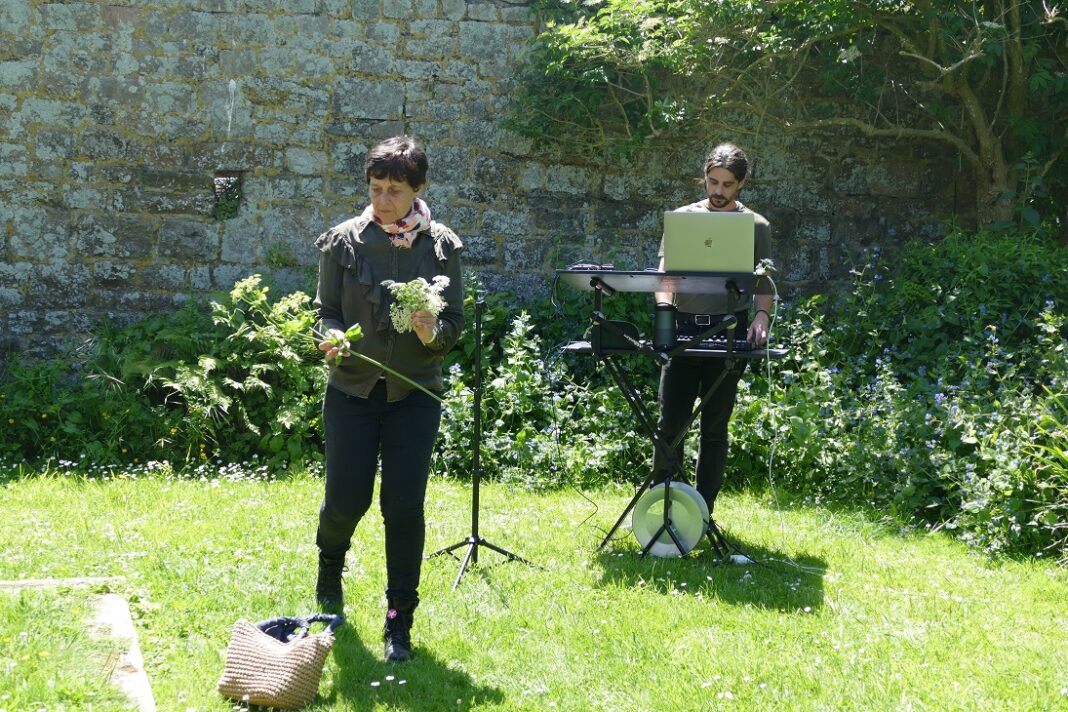 Empreintes-Encapsuler un jardin-Sillage Saint-Vaast-la-Hougue
