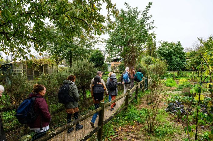 Entre nature et ville : les formes de résilience écologique – Visite et atelier de cyanotype, Cimetière Intercommunal des Joncherolles, Villetaneuse