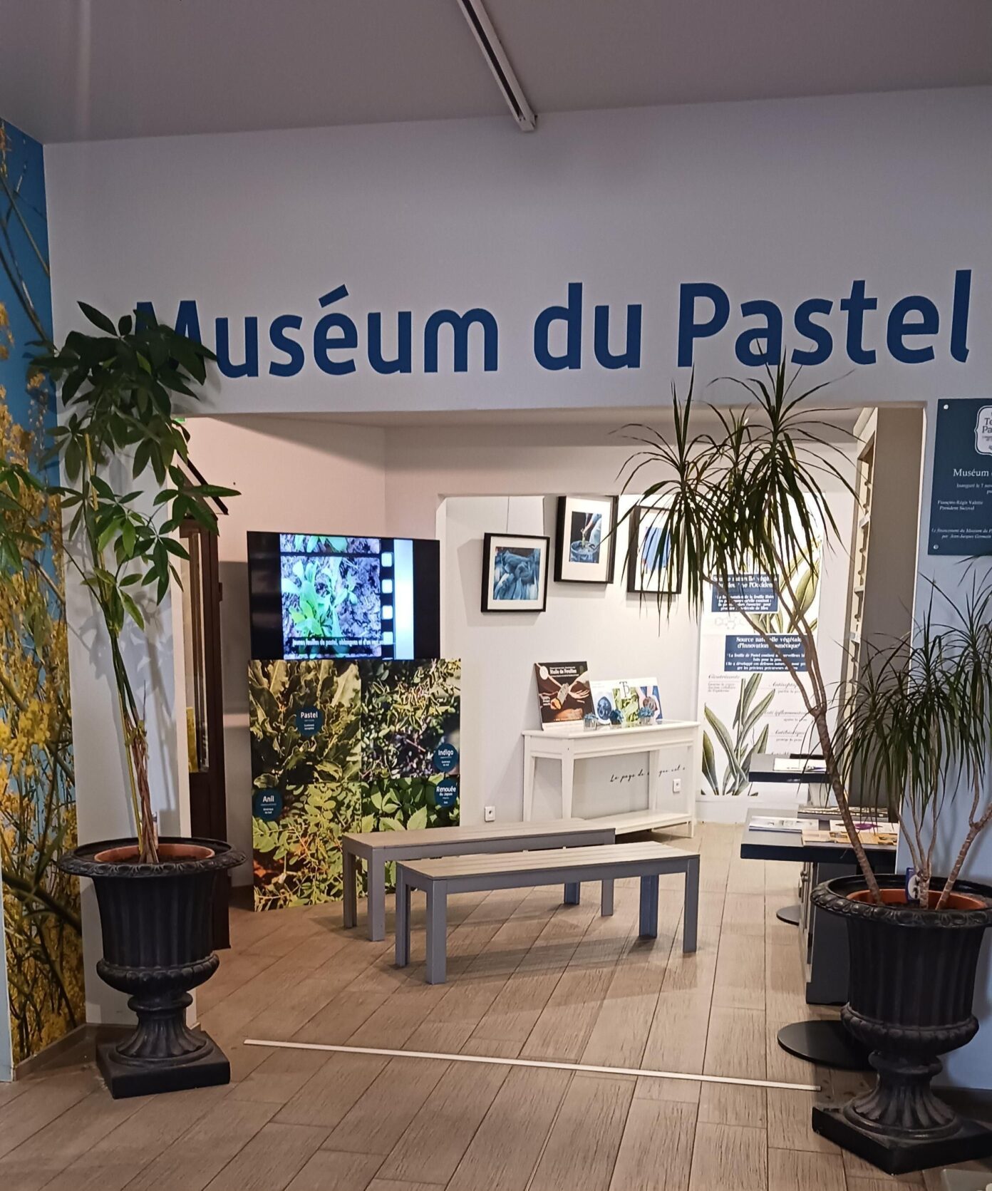 ENTRÉE MUSÉUM DU PASTEL GRATUITE Muséum du Pastel Labège