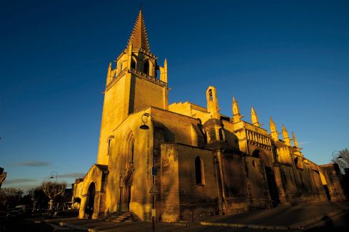 ENTREZ DANS LA CHAMBRE NOIRE, Collégiale royale Sainte-Marthe, Tarascon