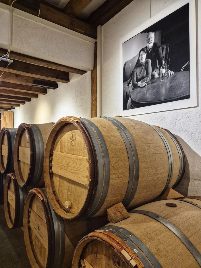 ESCAPADE VITICOLE : AU CŒUR DU TERROIR GENEVOIS, Autre lieu, Genève